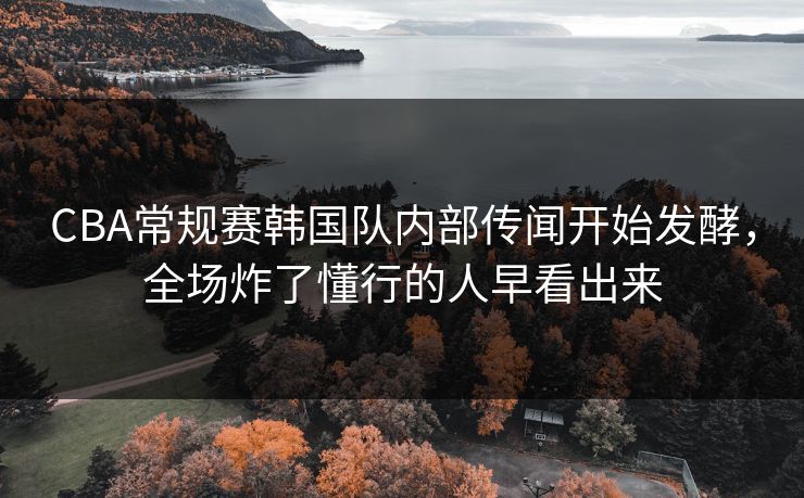 CBA常规赛韩国队内部传闻开始发酵，全场炸了懂行的人早看出来